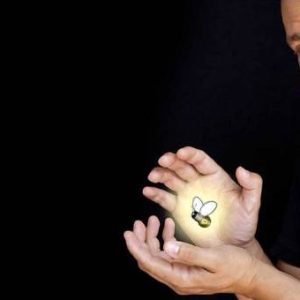 Diapositiva13 Diapositiva13