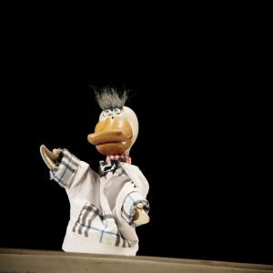 papero_alfredo_foto_scena papero_alfredo_foto_scena